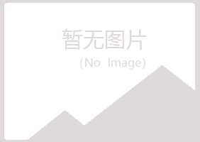 鲁甸县从梦化学有限公司